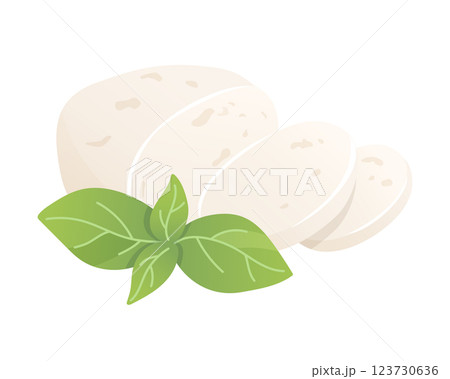 Mozzarella cheese with basil. Soft white cheese cut piece. Organic farm food. Design element, cartoon flat illustration for logo, poster, menu. Isolated on white background. Vector illustration 123730636