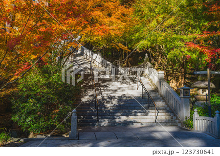 袋井市にある法多山尊永寺の紅葉に包まれた参道の風景(静岡県) 袋井市にある法多山尊永寺の紅葉に包まれた参道の風景(静岡県) 123730641