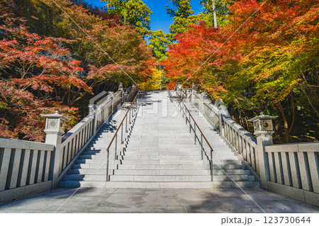 袋井市にある法多山尊永寺の秋の紅葉に染まる参道の風景(静岡県) 袋井市にある法多山尊永寺の秋の紅葉に染まる参道の風景(静岡県) 123730644