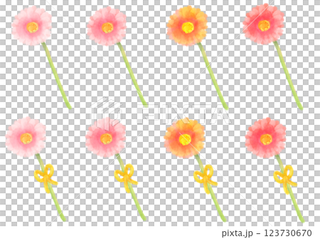 可愛的水彩風格非洲菊插圖 123730670