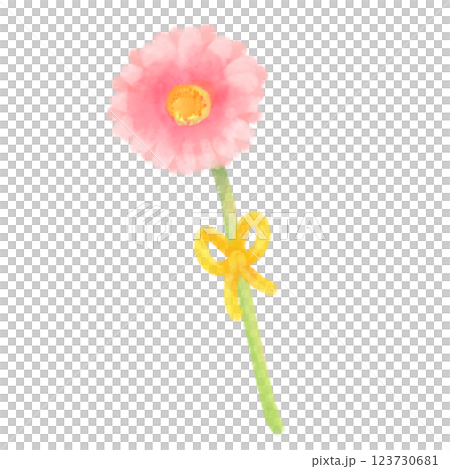 可愛的水彩風格非洲菊插圖 123730681