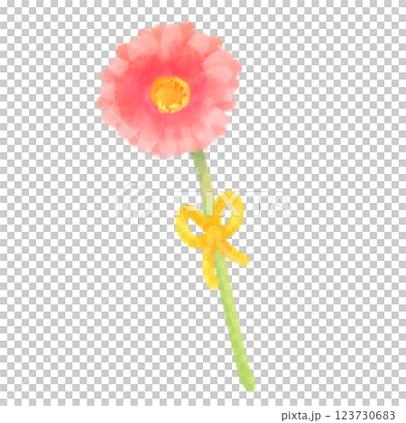 可愛的水彩風格非洲菊插圖 可愛的水彩風格非洲菊插圖 123730683