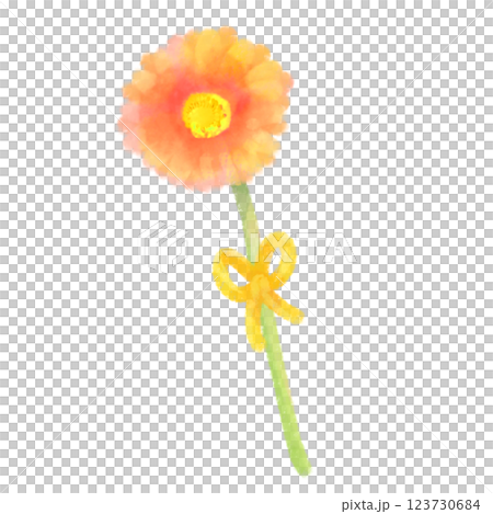 可愛的水彩風格非洲菊插圖 123730684