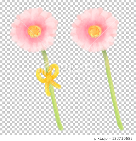 可愛的水彩風格非洲菊插圖 123730685