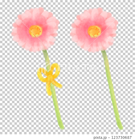 可愛的水彩風格非洲菊插圖 可愛的水彩風格非洲菊插圖 123730687