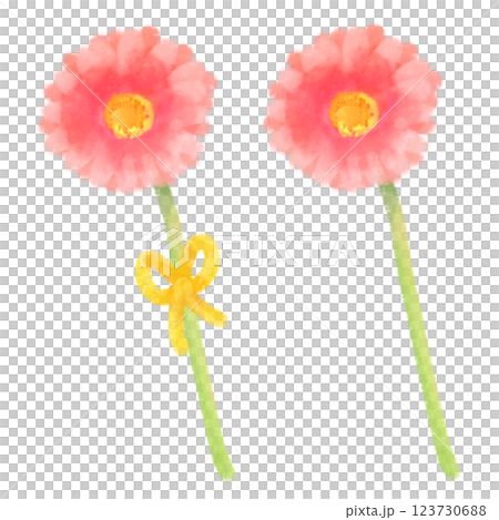 可愛的水彩風格非洲菊插圖 123730688