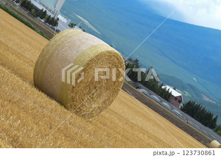 北海道の牧場ロール 北海道の牧場ロール 123730861