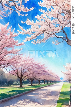 桜並木の道 123730946