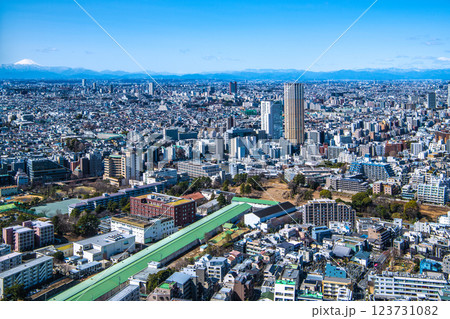 日本の東京都市景観 中目黒アトラスタワーや三軒茶屋駅前のキャロットタワー、富士山などを望む 123731082