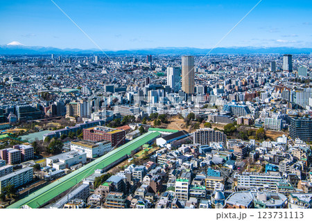 日本の東京都市景観 中目黒アトラスタワーや三軒茶屋駅前のキャロットタワー、富士山などを望む 123731113