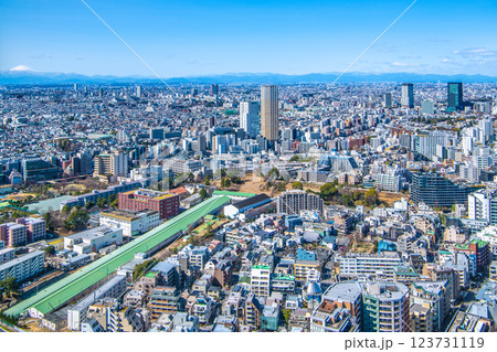 日本の東京都市景観 中目黒アトラスタワーや三軒茶屋駅前のキャロットタワー、富士山などを望む 123731119