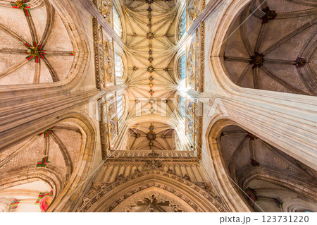 interiors of Saint Vulfran collegiate, Abbeville, France interiors of Saint Vulfran collegiate, Abbeville, France 123731220