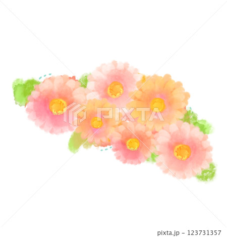 かわいい水彩風のピンクのガーベラのイラスト 123731357
