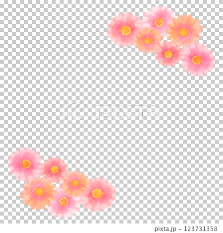 可愛的水彩風格粉紅非洲菊插畫 123731358