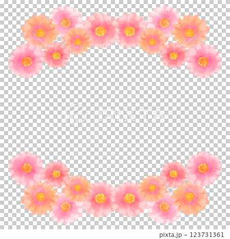 可愛的水彩風格粉紅非洲菊插畫 123731361