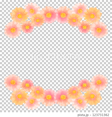 可愛的水彩風格粉紅非洲菊插畫 可愛的水彩風格粉紅非洲菊插畫 123731362