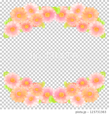 可愛的水彩風格粉紅非洲菊插畫 123731363