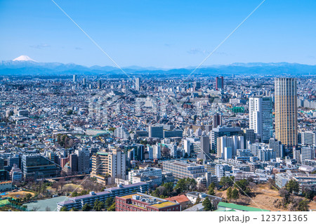 日本の東京都市景観 中目黒アトラスタワーや三軒茶屋駅前のキャロットタワー、富士山などを望む 123731365
