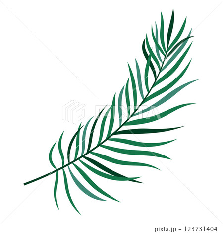 palm leaf in flat style 123731404