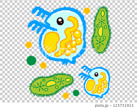 ミドリムシとミジンコの落書き風イラスト素材 123731913