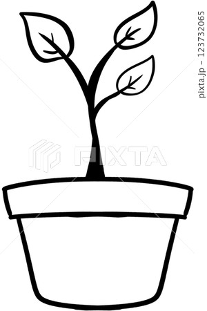 plant in pot 123732065
