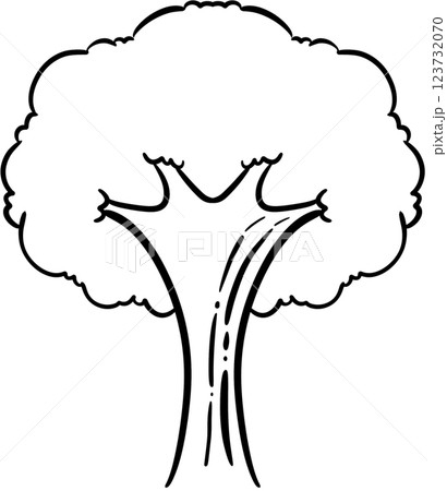 tree tree 123732070