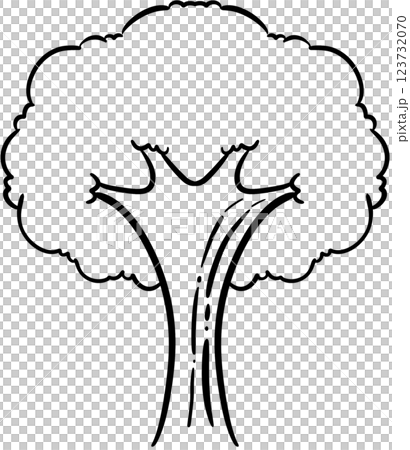 tree tree 123732070