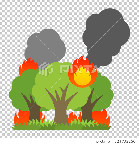 燃える木 123732250