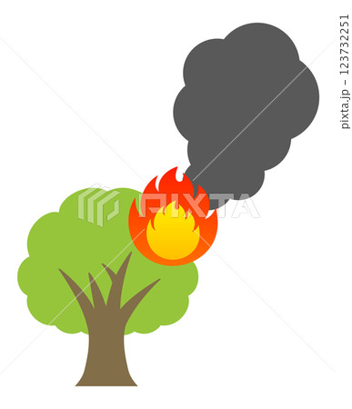 燃える木 123732251