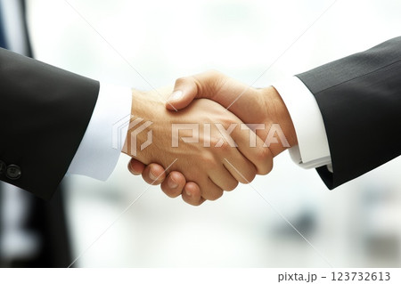 Successful Real Estate Dealer Engaging in Handshake to Close Business Deal Successful Real Estate Dealer Engaging in Handshake to Close Business Deal 123732613