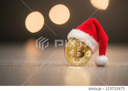 Festive Cryptocurrency Coin Adorned with a Santa Hat, Perfect for Holiday Promotions and Celebrations in the Digital Finance Sector 123732673