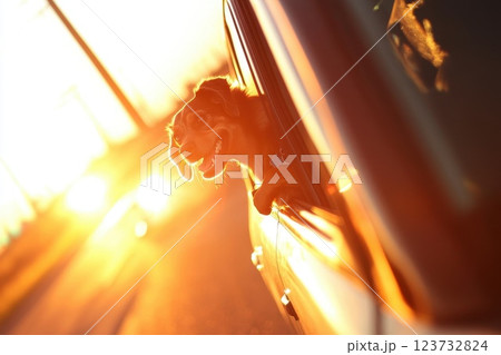 Happy Dog Enjoying Ride with Wind on Face During Sunset Drive Happy Dog Enjoying Ride with Wind on Face During Sunset Drive 123732824