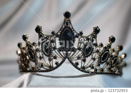 Black crown in gothic style.  123732953