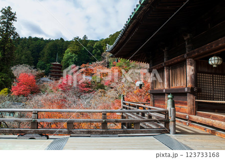 Wooden balcony to view Hasedera temple pagoda at autumn, Nara 123733168