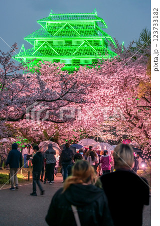 people at sakura tree light up and Fukuoka Castle ruins, Maizuru park people at sakura tree light up and Fukuoka Castle ruins, Maizuru park 123733182