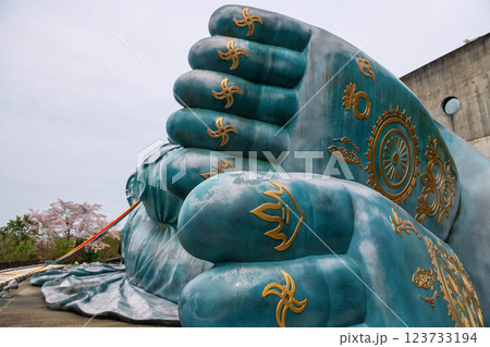 Foot of reclining Buddha statue with sakura, Nanzoin temple 123733194