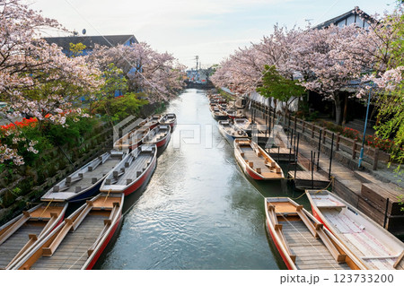 Tourist wooden boats along Suigo river with pink sakura tunnel Tourist wooden boats along Suigo river with pink sakura tunnel 123733200