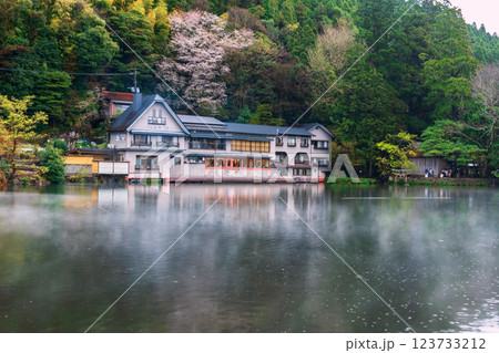 Local hotel with mist and raining at Kinrin lake at spring, Yufu-in Local hotel with mist and raining at Kinrin lake at spring, Yufu-in 123733212