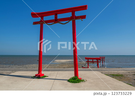 Many red torii gates by Ariake sea and blue sky at Oouo Shrine, Tara 123733229