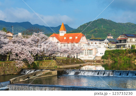 Siebold no Yu by sakura cherry tree tunnel and river at Ureshino, Saga 123733230