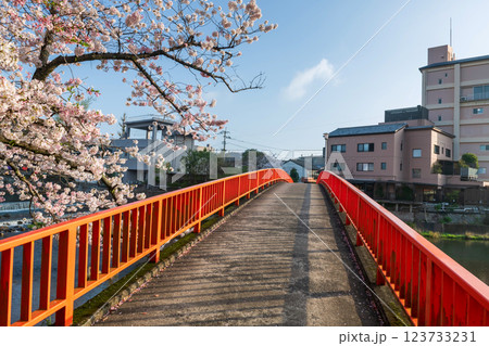 Red bridge by Ureshino onsen park across river with pink cherry blossom 123733231