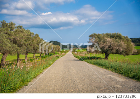 A winding road leading to the northeasternmost cape of Northern Cyprus. The image represents exploration, adventure, and the journey through untouched Mediterranean landscapes 123733290