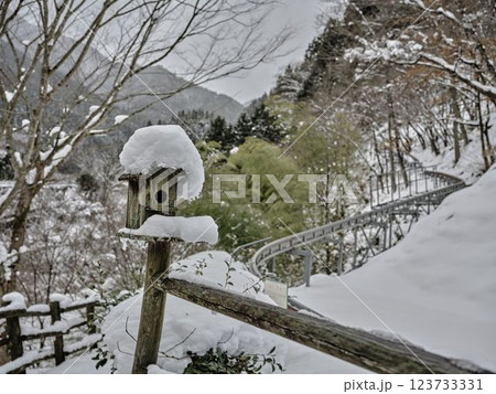 積雪が降った巣箱 小鳥用巣箱 積雪が降った巣箱 小鳥用巣箱 123733331