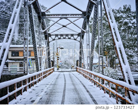 積雪の豊永駅　高知　運休　運航停止 123733427