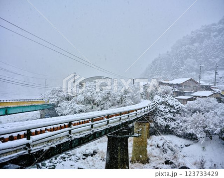 積雪の豊永駅　高知　運休　運航停止 123733429