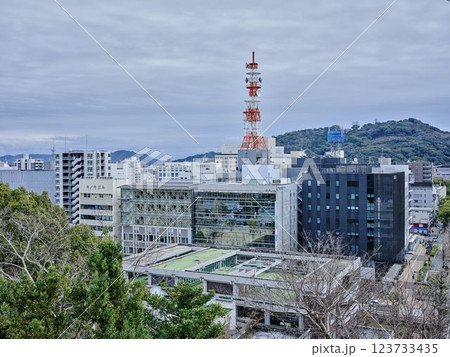 高知市内　高知城から見た高知市 123733435