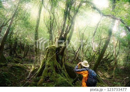 森林にて苔むす巨木を観察する男性の後ろ姿 123733477