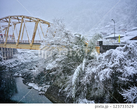 積雪で孤立した田舎 123733529