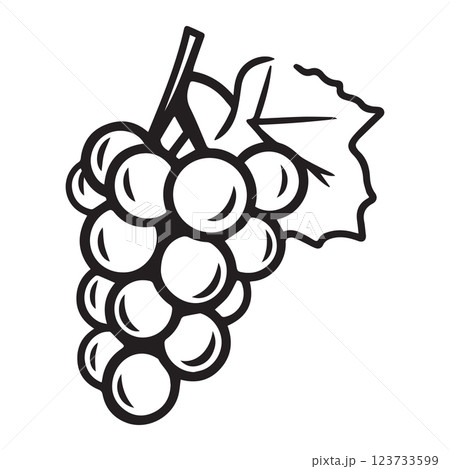 Black and white illustration of grape cluster 123733599
