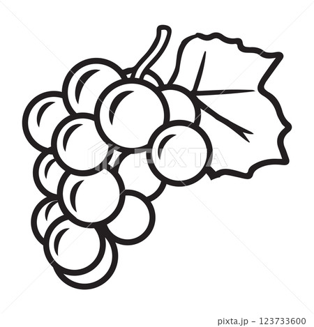 Black and white illustration of grape cluster 123733600
